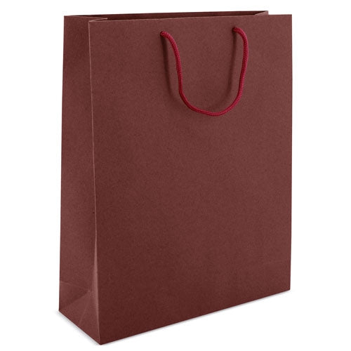 BOLSA DE CARTONCILLO ASA LOOPSE "ALEXIA"